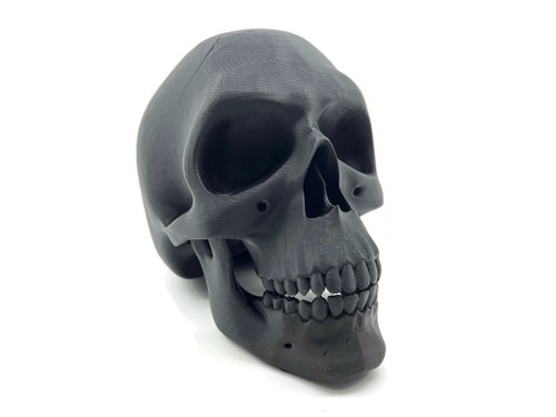 Exoda totenschädel skulptur - totenschädel,