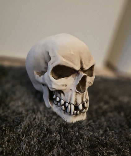 Orc schädel totenkopf figur - schädel,