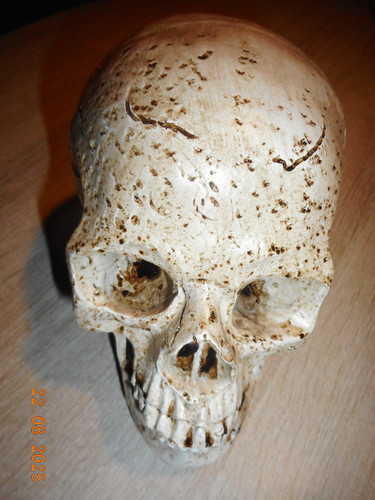 Figur totenkopf deko kopf - figur, deko-kopf