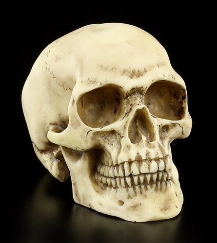 Totenkopf menschen schädel - -,