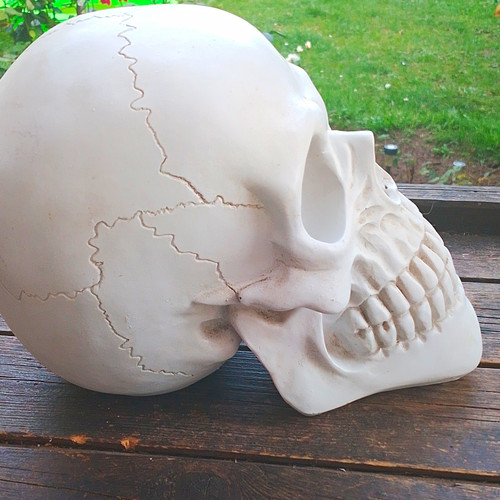 Totenschädel totenkopf - totenschädel,