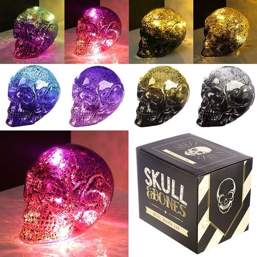 Skull und bones metallischer - skull,