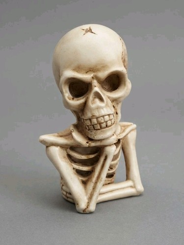 Skelett skull totenkopf - skull,