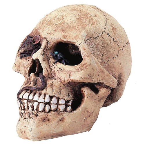 Totenkopf spardose ratte - totenkopf,