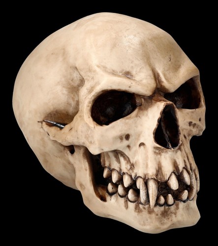 Orc schädel totenkopf - orc,
