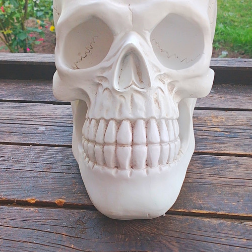 Totenschädel totenkopf - totenschädel,